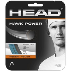 HEAD Hawk Power 171.25mm 스트링 세트 휘발유 3001362, HEAD Hawk Power 171.25mm 스트링 세