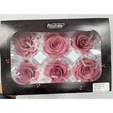 “Be a florist 花藝夢”日本大地農園不凋永生玫瑰05213(原裝盒出售) 六輪單色 永生花 乾燥花, 173