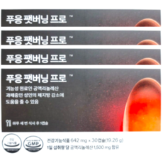 푸응 팻버닝 프로 642mg x 30캡슐 x 4박스 40일분, 30정