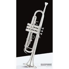 입문용트럼펫 케이스 세트 악기 트럼팻 관악기 금관 연습용 초보자 취미 연습 나팔 동아리 소형, C. 실버 표준, 1개