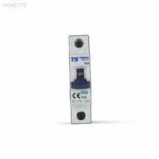 TS TDK 61 산업용 배선차단기 1P 4A 10KA 정격전류