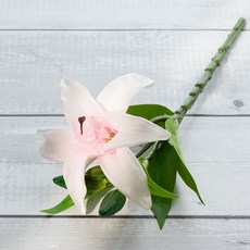 할메이드 생화같은 조화 꽃 hf37 백합 1p, hf37 백합 1p 연핑크, 1개