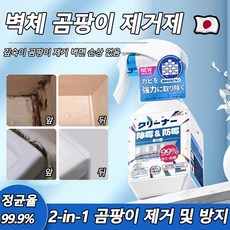 일본 기술 겨울철 벽체 곰팡이 제거제 습기 방지 곰팡이 방지제 가정용 벽지곰팡이제거스프레이 벽곰팡이스프레이 살균/정균 99%, 2개, 300ml