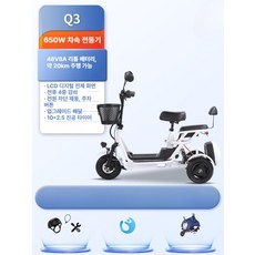 접이식 전동 삼륜 스쿠터 소형 이동형 배터리 경량 폴딩 전기카트, 1개, Q3 2인승 48V 8A 650W 20km, 48V