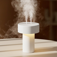 CCAGU 미니가습기 듀얼 무드등 초음파 500ml 가정용 사무실 탁상용 대용량 가습기, 화이트