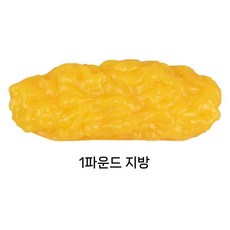 체지방 모형 병원교육 지방 덩어리 1kg 근육 교육 시각자료 교육용 자료 전시 모델, B. 1파운드 긴 지방모형