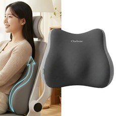 오르지 허리를 탄탄하게 받쳐주는 요추 지지대 쿠션, 블랙그레이