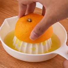 프롬태오 레몬착즙기 미니착즙기, 그린