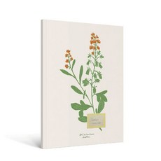 Carnet Fleurs A5 - Zoe de Las Cases:조에 드 라스 카스 - 카르네 플라워 A5 노트, Carnet Fleurs A5 - Zoe de La.., Zoé de Las Cases(저), Hachette