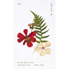 소설 보다 : 봄 2026 문학과지성사, 상세 설명 참조