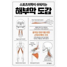 스포츠의학이 쉬워지는 해부학 도감, 현익출판, 우에하라 다케시
