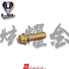偉倫精品零件 Ulock M6*15L螺絲 白鐵 黑鐵 鍍鈦 不鏽鋼螺絲, 1個, 炫耀金,加購藍色墊片, M6, 15L