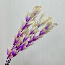 花藝夢*不凋玉竹葉 整把販售 單色 漸變玉竹葉 永生花 乾燥花 不凋花 現貨, 漸變紫