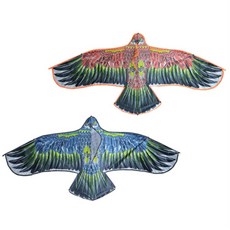 나비쌤 독수리 연 1개