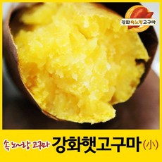 [농장직판] 강화속노랑고구마 강화도호박고구마 햇고구마 [소/중/대/특상/혼합 크기] 5kg/10kg 선택., 1박스, 소(한입) 크기 5kg