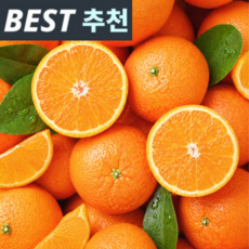 카라향 제주 프리미엄, 1박스, 5kg