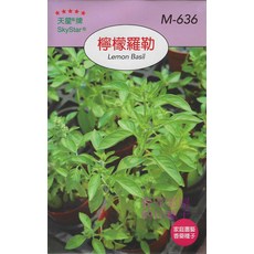 天星牌 檸檬羅勒種子 M-636 (Lemon Basil) 家庭園藝種子, 1包