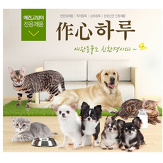 작심하루 애견 고양이 위장에좋은영양제 면역력 알약타입 변 냄새제거 친환경제품