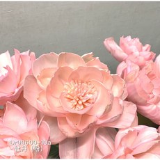 牡丹 索拉花 乾燥花材, 10cm,紫色