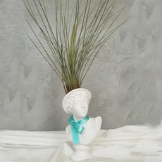 아트박스/모리아트 대만여인 석고상화분 틸란드시아 준세아+모스+리본, 아리아스