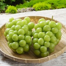 샤인머스켓 2kg(3수) 선물, 3개