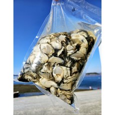 돌고래수산 통영 생굴 깐굴 500g 1kg, 1개, 생굴500g(가열조리용)