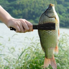 제인추천샵디자인 피쉬그립 낚시 물고기 집게 물고기잡기