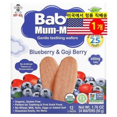 Hot Kid 유아용 오가닉 과일 순한 치발 티딩 웨이퍼 12개입 100g 1개, 블루베리 구기자