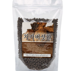 프리미엄 러시아 차가버섯 효능 덩어리 자연산 선물