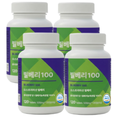 빌베리 100 정 식약처 HACCP 인증, 4개, 120정