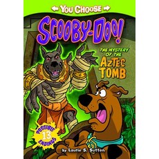 The Mystery of the Aztec Tomb Hardcover, Stone Arch Books