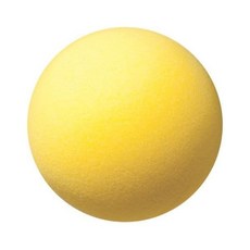 Champion Sports 야구연습공 연습볼 입문용 챔피언 스포츠 코팅되지 않은 정밀도 폼 볼6인치, 6-Inch, 1개
