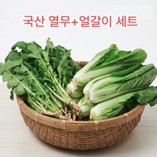 떳다맘 국산 어린열무+얼갈이 세트 겉절이 김치용, 1박스, 어린열무 3kg + 얼갈이 2kg(총5kg)