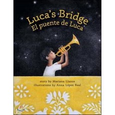 Luca's Bridge/El Puente de Luca: The Future of Patterns Hardcover, Penny Candy Books