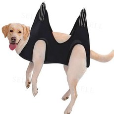 강아지 미용 거치대 강아지미용거치대