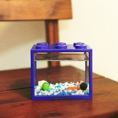 블록어항 파랑 거북이 친구들과 마리모M 키우기, 1개