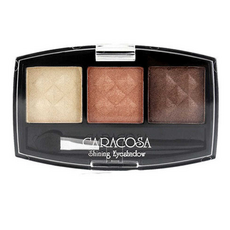 가루날림 보들보들 포인트컬러 아이섀도우키트 305호, 3, 1개