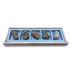 초등과학 지층과화석 실물 산호화석 관찰 5종세트 학습 유치원 표본 고고학 역사 실험실 뼈