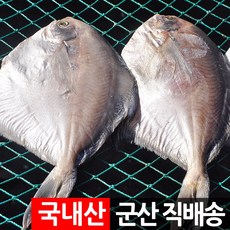 장스토어 제수용 생선 반건조 병어 1미 400g 군산항직송, 제수용 병어 1미 400g 내외, 1세트, 제수용 병어 1미 400g 내외