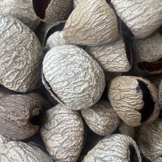 臺灣出貨 印尼果殻風鈴diy黑果材料包自製果殻音手工製作手搖鈴pangjii果殻 0OUT, 印尼黑果殼Pangi果25個+送麻繩61, 1個