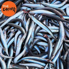 제철 양미리 알배기 양미리구이, 1개, 급냉 양미리 20미