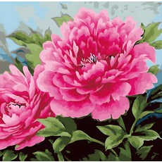 Momofix Painting DIY數字油畫套組 40 x 50 cm, 富貴花 牡丹, 1個