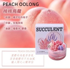 DIY多肉砂畫香氛蠟燭, 1個