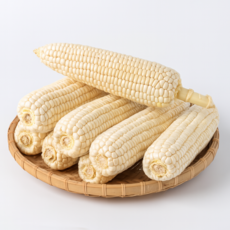 쫀득하고 맛있는 백찰 옥수수 찰옥수수, 10개, 왕특 (16cm내외)