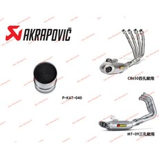Seer Akrapovic 蠍子管 原廠進口觸媒 P-KAT-040，提升環保性能，享受寧靜舒適騎乘體驗, 1個