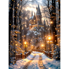 앤드 DIY 보석십자수 액자형 보석 십자수 세트 30X40cm, N027, 1세트