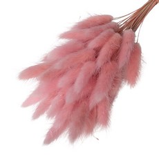 로맨틱노벰버 프리저브드 라그라스, 소프트핑크 50송이