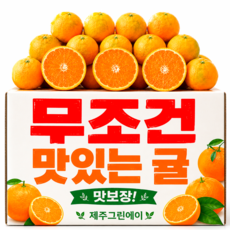 [하루30개] 최대19brix 백화점납품 무조건단골되는 당도선별 꿀 감귤, 1박스, 5kg (로얄정품)