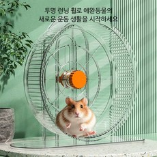 투명 소동물 실내 운동 런닝휠 1개 바퀴 받침대 포함, 12cm 저소음 런닝휠 투명