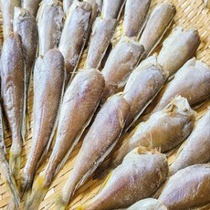 국산 목포 자연산 두절 조기 반건조 참조기, 1개, 500g